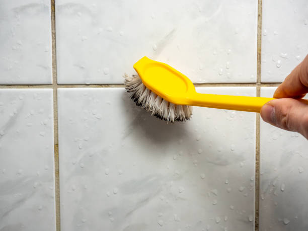 Home Mold Removal in Beckett, NJ