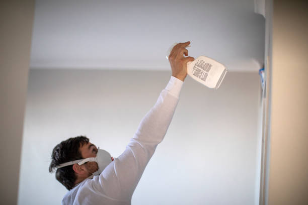 Best Mold Removal and Inspection  in Beckett, NJ