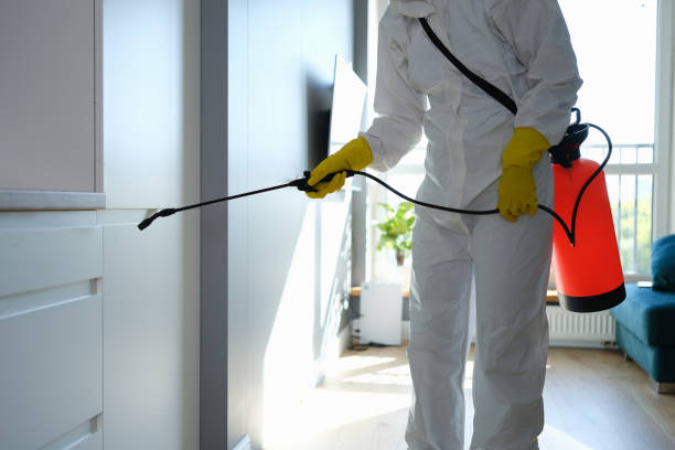 Best Mold Cleaning Services  in Beckett, NJ